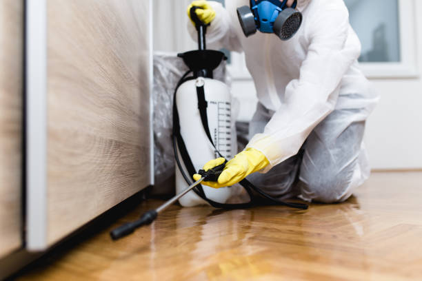 Best Affordable Pest Control Services  in League City, TX