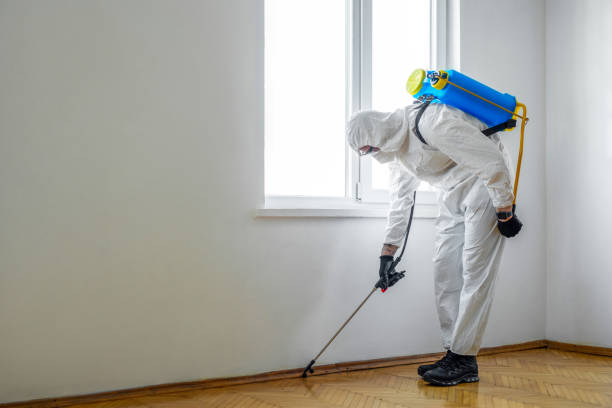 Best Best Pest Control Companies  in League City, TX