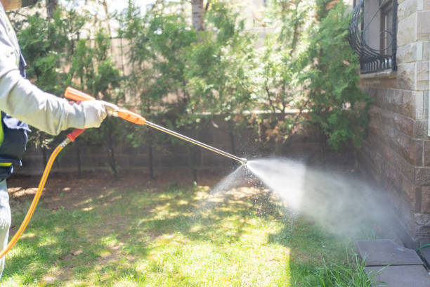 Pest Prevention Services in League City, TX
