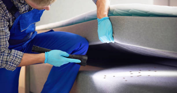 Best Pest Prevention Services  in League City, TX
