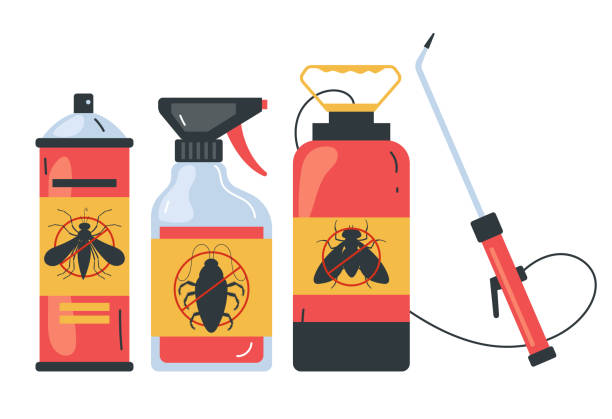 Best Local Pest Control Services  in League City, TX