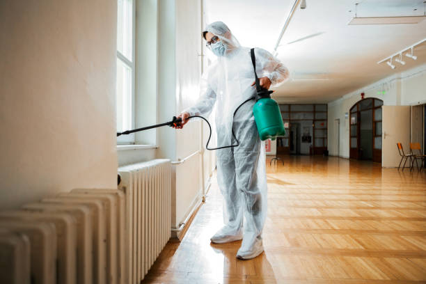 Best Pest Control Near Me  in League City, TX