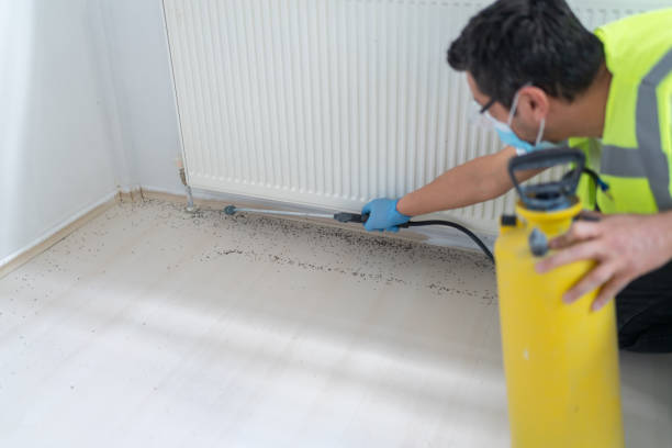 Best Mosquito Control Services  in League City, TX