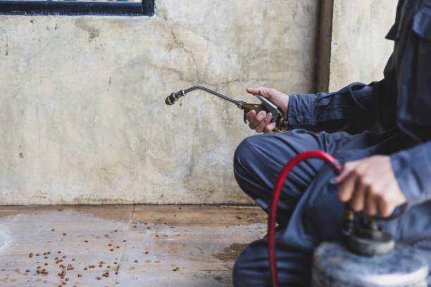 Best Affordable Pest Control Services  in League City, TX